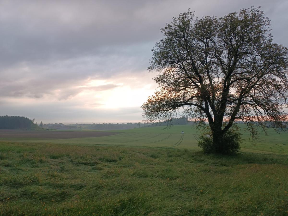 Bio Kindererlebnisbauernhof Voit Sochtenau Exterior foto
