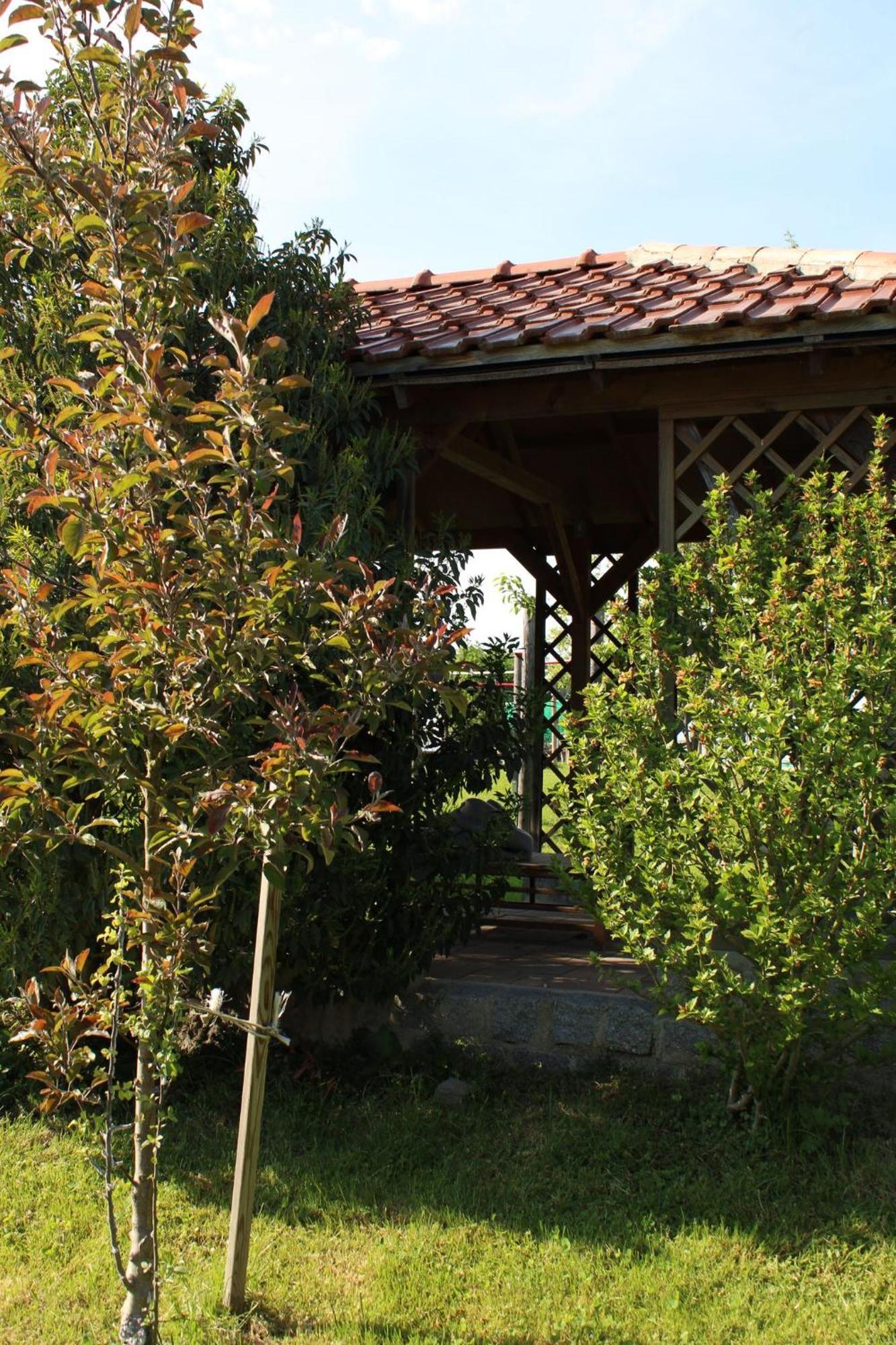 Bio Kindererlebnisbauernhof Voit Sochtenau Exterior foto