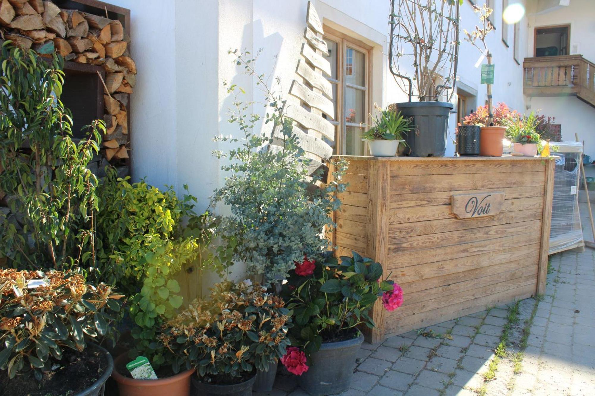 Bio Kindererlebnisbauernhof Voit Sochtenau Exterior foto