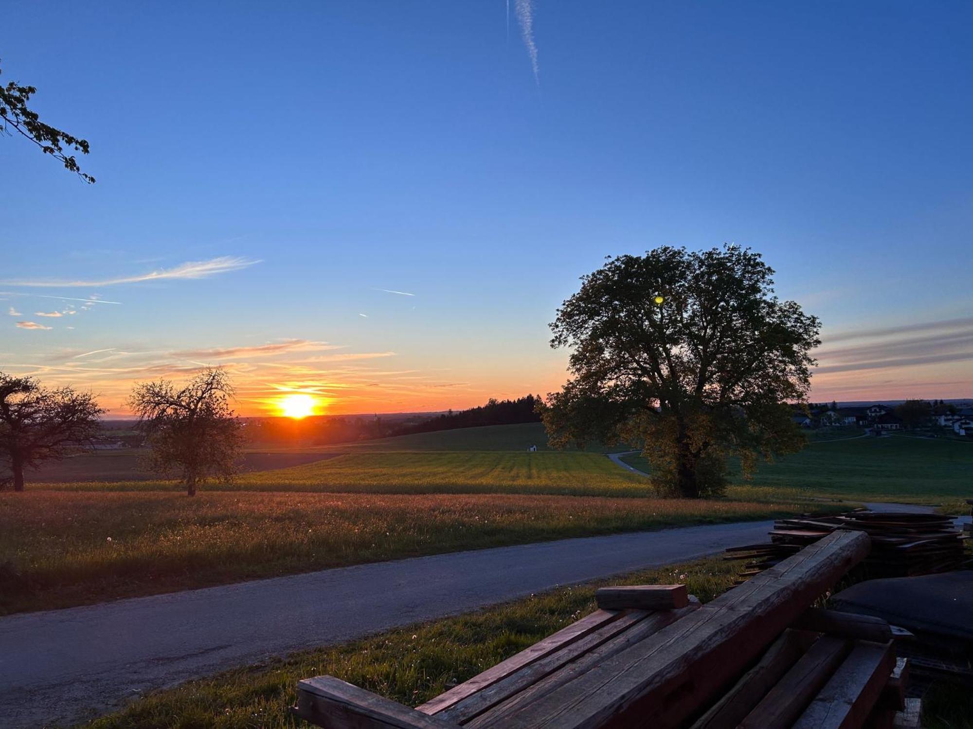Bio Kindererlebnisbauernhof Voit Sochtenau Exterior foto