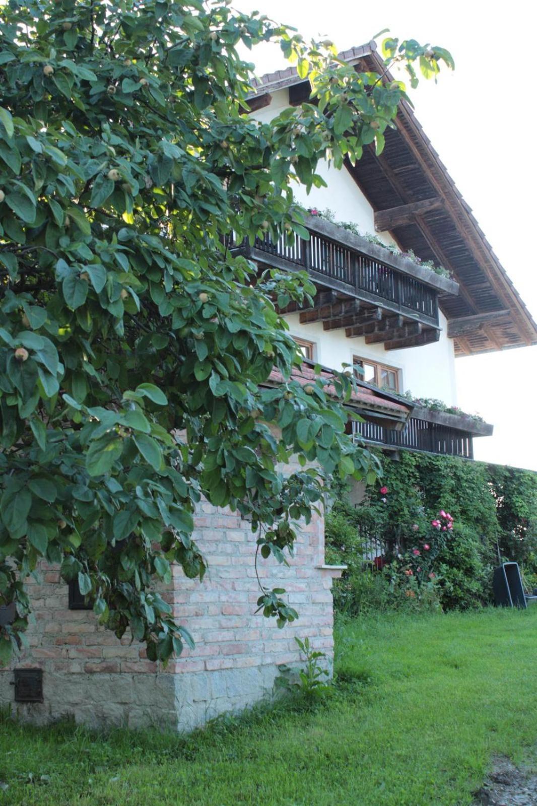 Bio Kindererlebnisbauernhof Voit Sochtenau Exterior foto