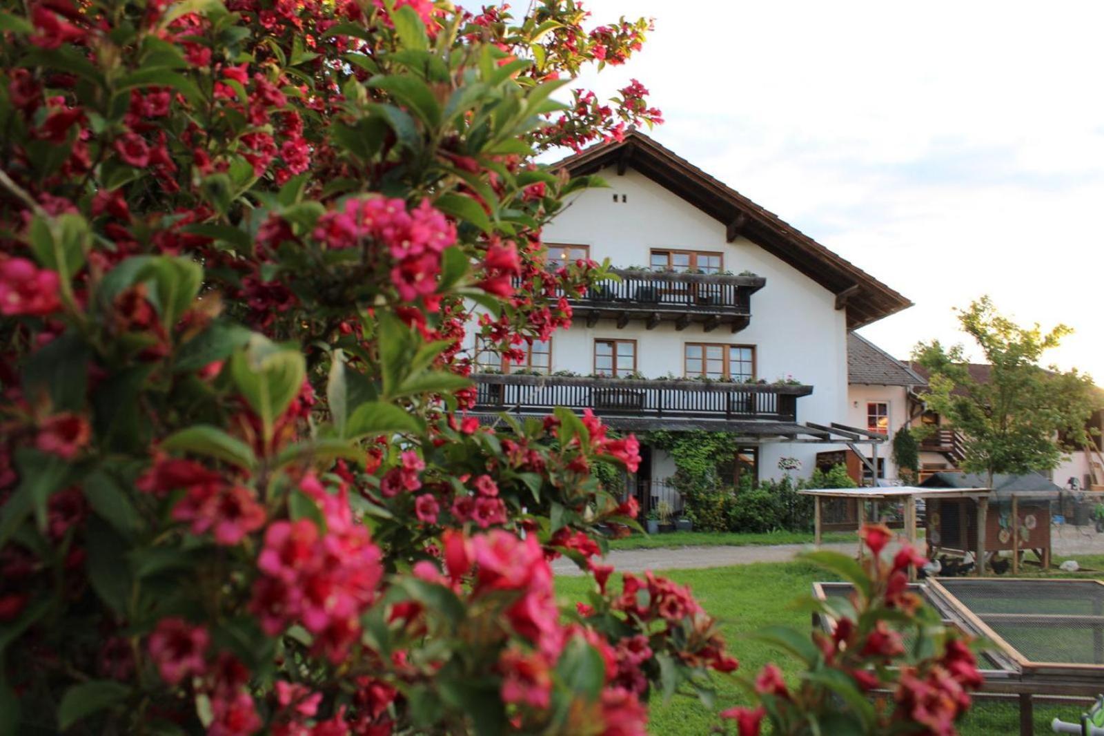 Bio Kindererlebnisbauernhof Voit Sochtenau Exterior foto
