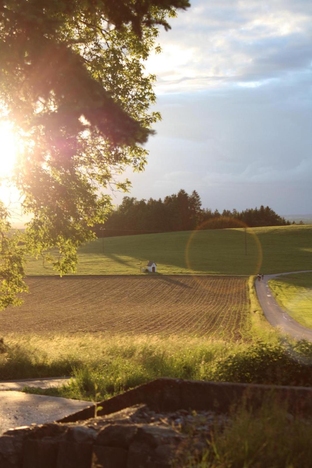 Bio Kindererlebnisbauernhof Voit Sochtenau Exterior foto